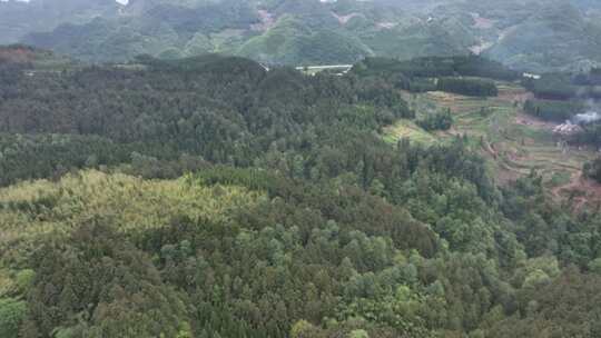 平坝区国营大坡林场航拍