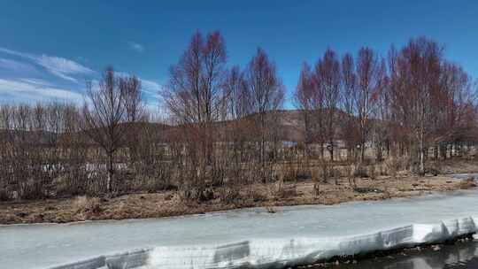 内蒙古林区冬去春来河开雪景