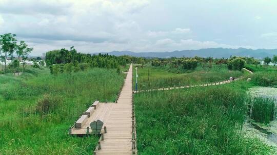 南滇池湿地公园夏景航拍