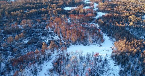 航拍大兴安岭冻土地带疏林湿地雪景