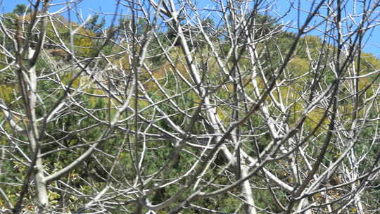 秦岭山水风景 秦岭 秋季 秦岭山脉