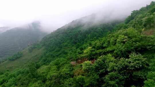 航拍秦岭山脉森林云雾风光