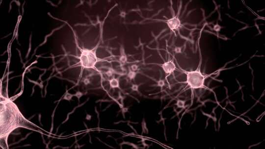 神经元细胞的动画。神经细胞在大脑中的活动