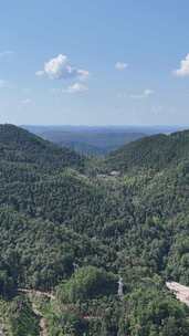 竖屏航拍山川丘陵大山山脉森林植物