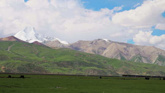 西藏那曲雪山脚下草原上青藏铁路驶过的列车
