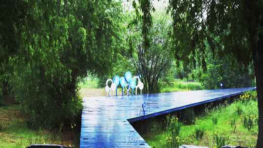 4K雨中雨中公园木栈桥
