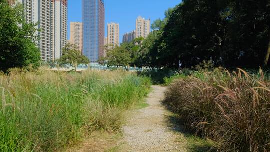 城市 郊区 荒地 草地 小路