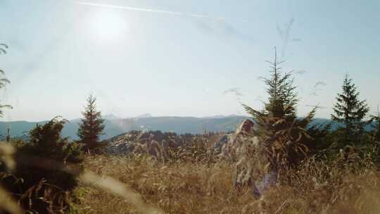 女人，徒步旅行，登山杖，阳光