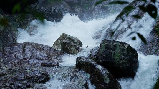 高清4K降水雨季山泉瀑布流水升格视频素材