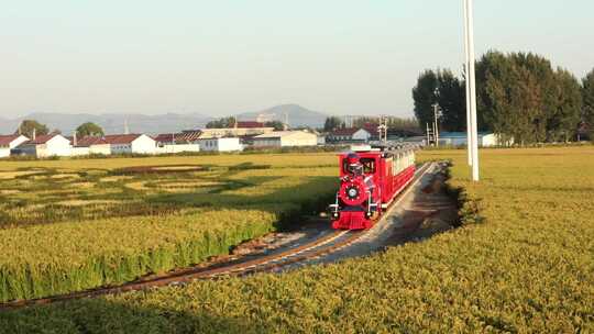 景区游览小火车