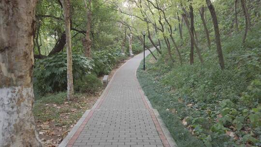 湖南衡阳岳屏公园自然风光视频素材模板下载