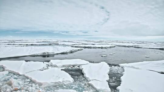 北极融化的冰川浮块视频素材模板下载