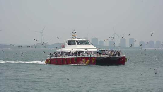 山东荣成那香海景区鸡鸣岛的游轮与海鸥