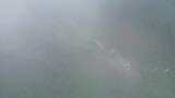 山谷迷雾蜿蜒山路航拍高清在线视频素材下载
