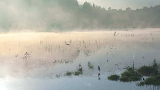 清晨湖面雾气