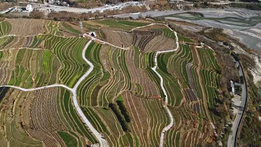 云南农业乡村梯田大地土地耕地梯田