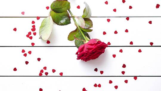 白色木桌上的新鲜红玫瑰花