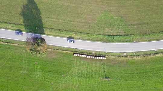 道路，田野，树木，汽车