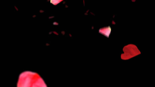 4K浪漫玫瑰花瓣飘落光效过渡叠加视频素材2