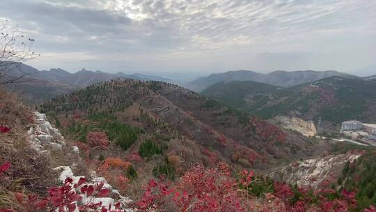 济南南部山区天井峪村红叶满山