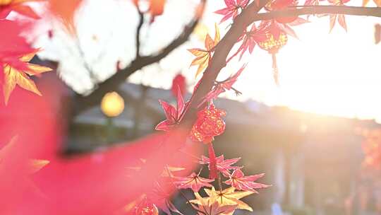 北京老街模式口古道春节灯会过年年味夜景