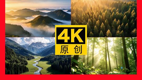 森林大自然树林云海森林航拍树林光影树木高清在线视频素材下载