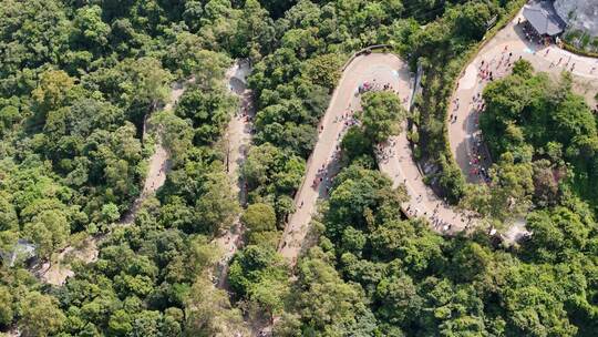 广东观音山国家森林公园第十二届登山大赛