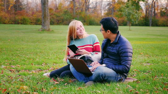 情侣在草坪上聊天视频素材模板下载