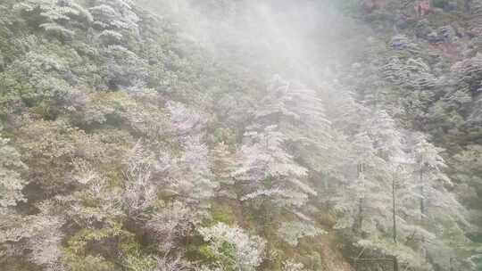 安徽黄山索道缆车雪山美景风景视频素材