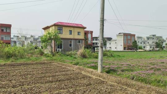 农村风景实拍