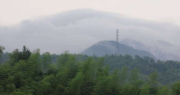 绿色山林森林竹海云海云雾 安徽山区