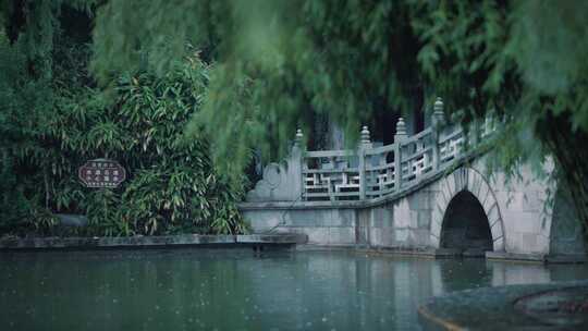 雨天丰庆公园