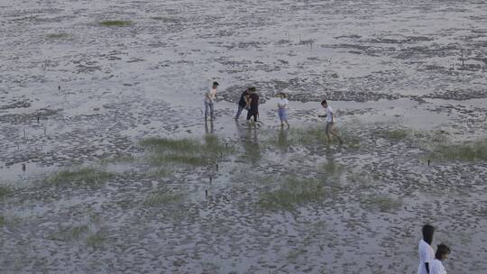 杭州湾海边城市岛屿礁石海浪