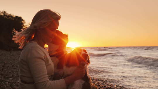 日落时分，两只狗在海滩上玩宠物的快乐主人