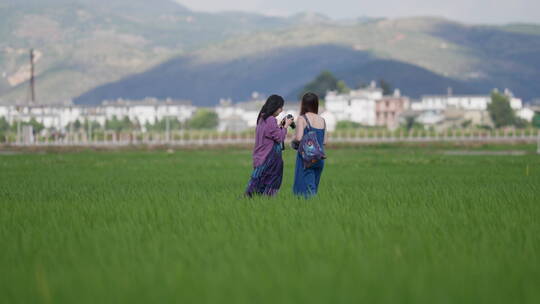 喜洲古镇绿色稻田中拍照的游客
