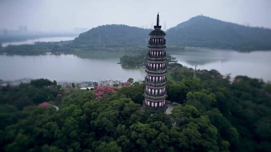 自然风景佛山顺德八宝山自然景区航拍视频视频素材模板下载