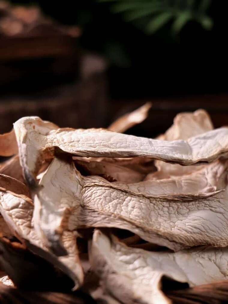 白松茸 干白松茸