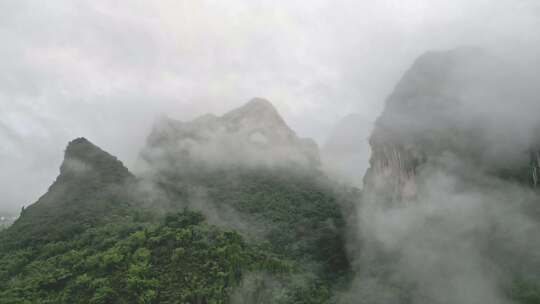 雾气笼罩的茂密山林全景