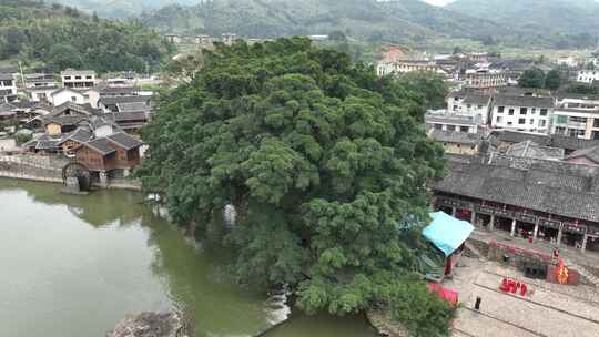 航拍福建漳州南靖云水谣土楼