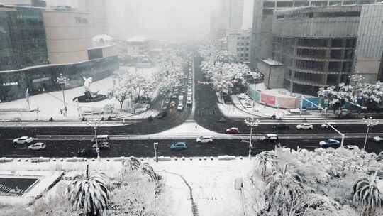 大雪纷飞中的城市道路