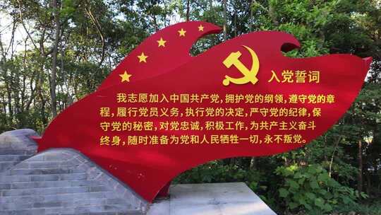 入党宣誓党建红色旗帜