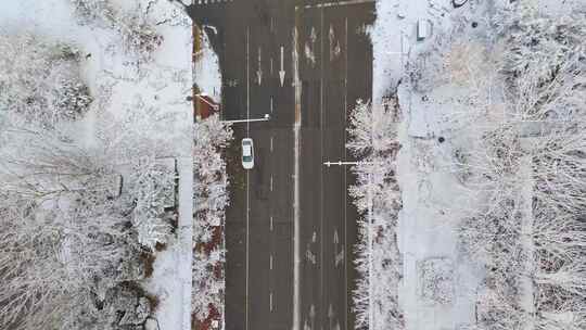 冬季航拍哈尔滨大雪中的城市道路和建筑