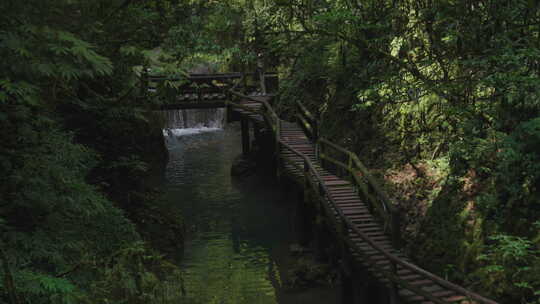 青城山古道 栈道