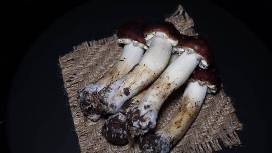 昂贵食材松茸鲜蘑菇