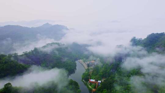 云雾森林下雨自然山涧流水泉水