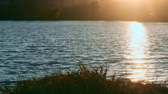 滇池夕阳下金色水面