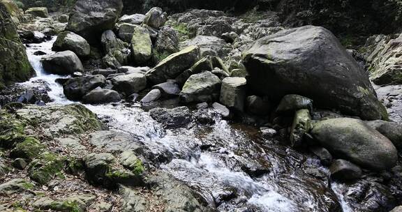 阳光溪流山涧密林原始生态风光