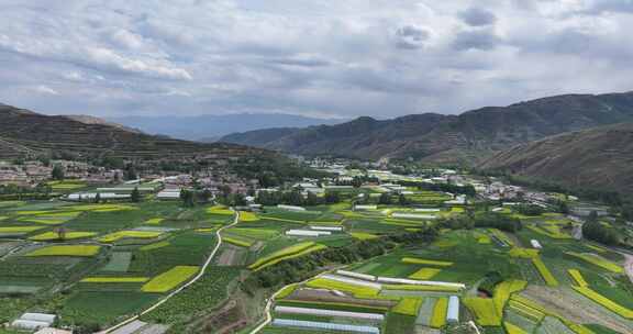 乡村振兴 乡村田野 乡村航拍 油菜花