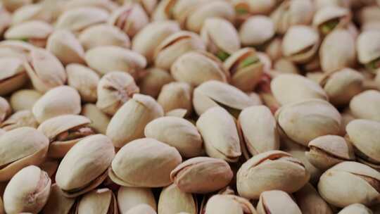 开心果实拍素材