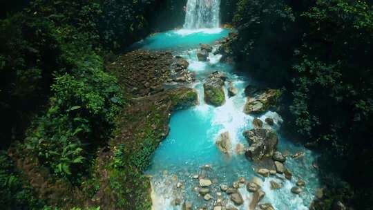 森林中蓝色溪流与瀑布景观